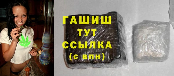 индика Гусев
