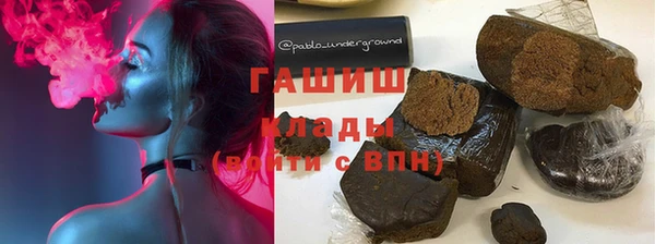 индика Гусев