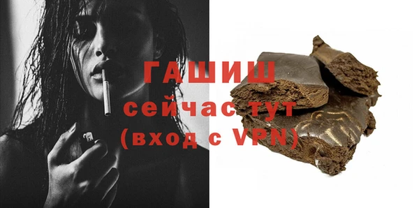 индика Гусев
