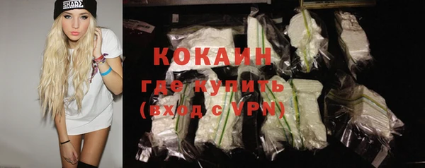 индика Гусев