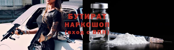 индика Гусев