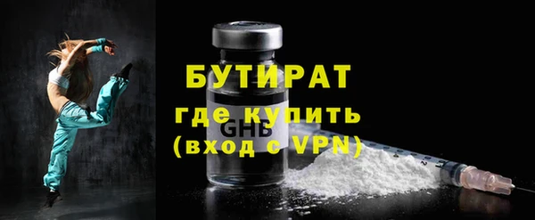 индика Гусев