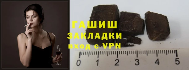 индика Гусев