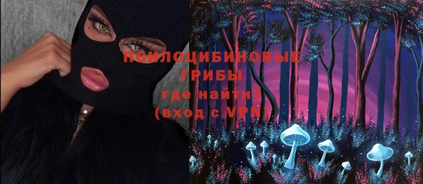 индика Гусев