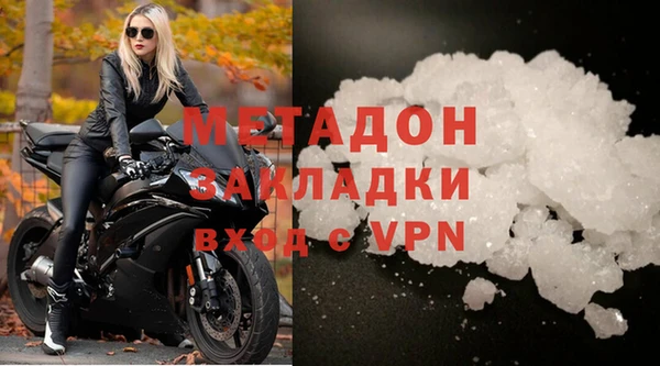 индика Гусев