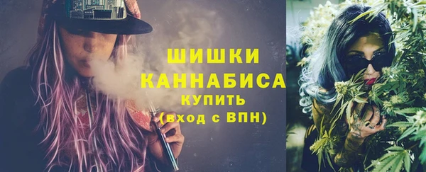 альфа пвп Гусиноозёрск
