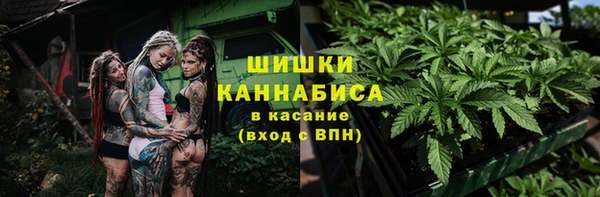 индика Гусев