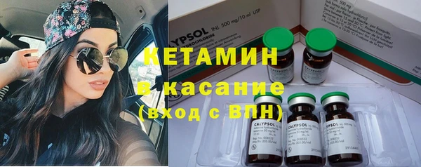 индика Гусев