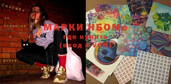 индика Гусев