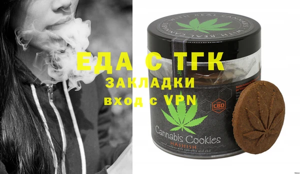 индика Гусев