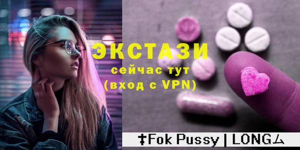 индика Гусев