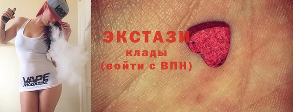 индика Гусев