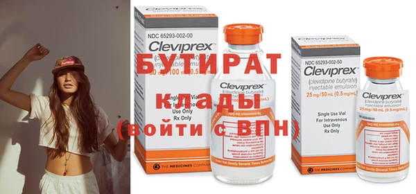 индика Гусев