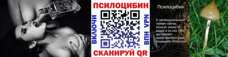 Псилоцибиновые грибы GOLDEN TEACHER  Махачкала 